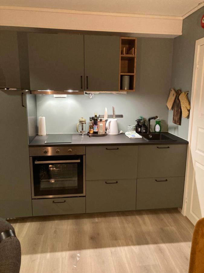 Oppdal Alpintun Apartment Ngoại thất bức ảnh
